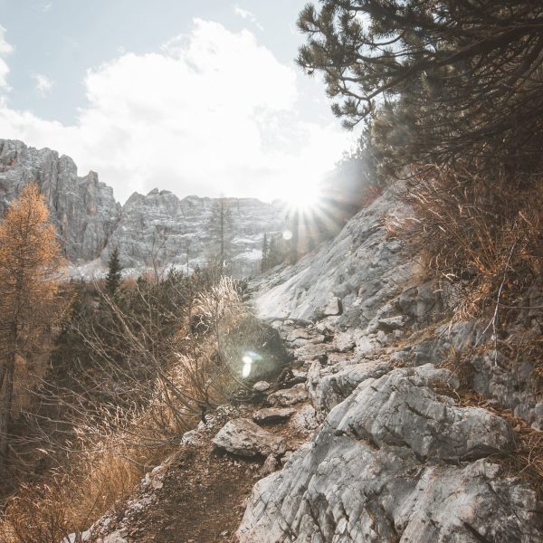 Pratique chamanique pour une transformation intérieure profonde et un ancrage spirituel