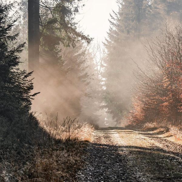 Séance d'hypnose ericksonienne pour apaiser l'anxiété et retrouver la sérénité