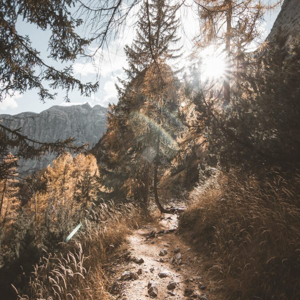 Soin énergétique intuitif pour libérer les blocages émotionnels et retrouver l'équilibre intérieur